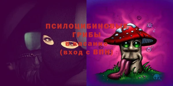 альфа пвп Елизово