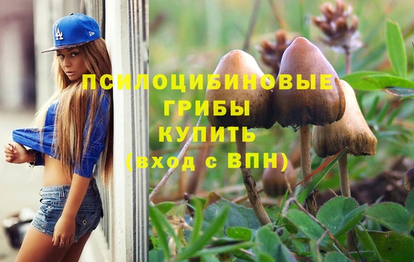 хмурый Елабуга