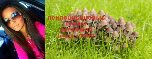 хмурый Елабуга