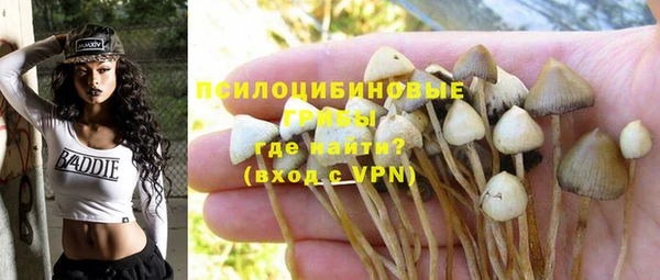 хмурый Елабуга