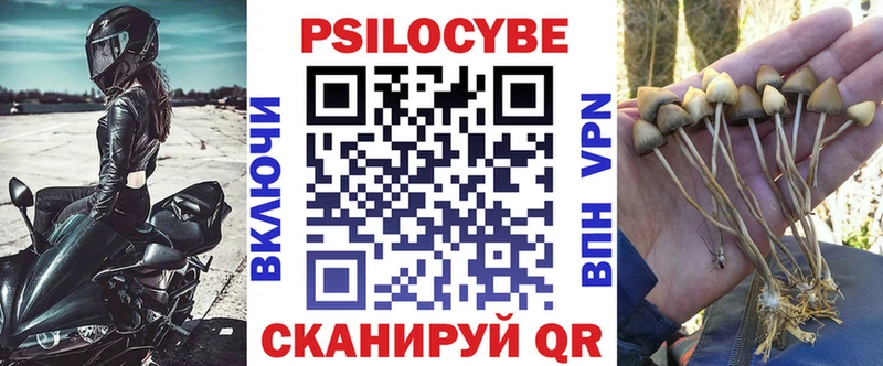 Псилоцибиновые грибы прущие грибы  Мытищи 